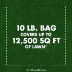 Triazicide Insect Killer Granules for Lawns, 10 lb