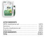 Roundup Ready-To-Use Lawn Weed Killer with Wand