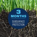 BioAdvanced Insect Killer Granules for Soil & Turf