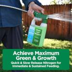 High Nitrogen Lawn Food Spray 28-0-0