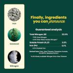 Sunday Green Machine Lawn Fertilizer, 2 Pack