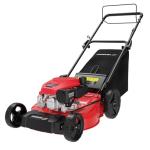 PowerSmart 21-Inch Self-Propelled Gas Lawn Mower