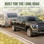 Fuel Stabilizer and Diesel Treatment for Engines