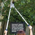 Heavy Duty Telescopic Ratchet Anvil Lopper