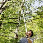 Heavy Duty Telescopic Ratchet Anvil Lopper