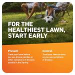 Scotts DiseaseEx Lawn Fungicide, Treats 5,000 sq. ft