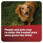 Scotts GrubEx Grub Killer for Lawns, 14.35 lbs