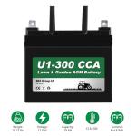 Weize 12V AGM Battery for Lawn Mowers and Tractors