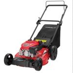 PowerSmart 21" 2-in-1 Push Lawn Mower