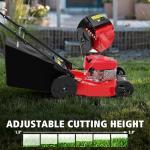 PowerSmart 21" 2-in-1 Push Lawn Mower