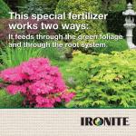 32 Oz. Liquid Lawn and Garden Fertilizer
