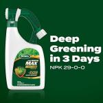 Scotts Green Max Lawn Food and Iron Supplement