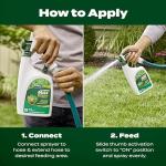 Scotts Green Max Lawn Food and Iron Supplement