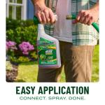 Scotts Green Max Lawn Fertilizer and Iron Boost
