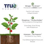 True Organic Liquid Lawn Food - Fast Green-Up Fertilizer