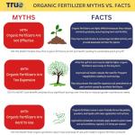 True Organic Liquid Lawn Food - Fast Green-Up Fertilizer