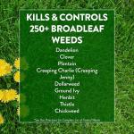 Weed and Feed 13 Lbs. for 5,000 Sq. Ft