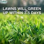Natural Lawn Fertilizer for Healthy Grass - 5,000 Sq Ft