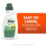 Roundup Lawns Concentrate Weed Killer for Grasses