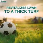 Natural Lawn Fertilizer for Healthy Grass - 5,000 Sq Ft