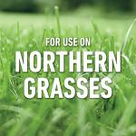 Roundup Lawns Concentrate Weed Killer for Grasses