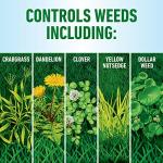 Roundup Lawns Concentrate Weed Killer for Grasses