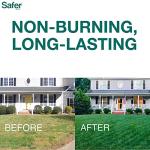 Natural Lawn Fertilizer for Healthy Grass - 5,000 Sq Ft