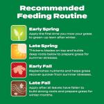 Scotts Liquid Turf Builder Fertilizer for All Grass