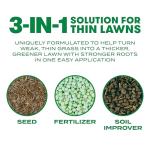 Scotts Turf Builder Thick 'R Lawn 12 LB