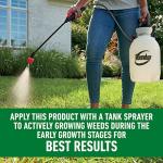 Roundup Lawns Concentrate Weed Killer for Grasses