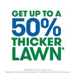 Scotts Turf Builder Thick 'R Lawn 12 LB