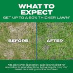 Scotts Turf Builder Thick 'R Lawn 12 LB