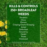 Weed and Feed Fertilizer for 15,000 Sq. Ft