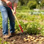 VNIMTI 4-Tine Steel Garden Fork with Wooden Handle