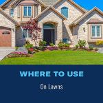 BioAdvanced 32 oz Ready-to-Spray Lawn Fungicide