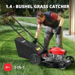 Amerisun 21" Self-Propelled Gas Lawn Mower
