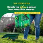 Sunday Heat-Tolerant Grass Seed and Fertilizer