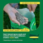 Sunday Heat-Tolerant Grass Seed and Fertilizer
