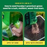 Sunday Heat-Tolerant Grass Seed and Fertilizer