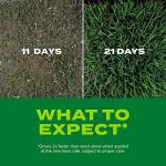 Scotts Rapid Grass Tall Fescue Seed Mix