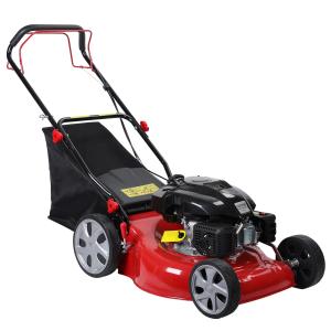 Self-Propelled 20-Inch Lawn Mower with Foldable Handle
