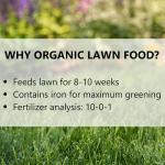 Jonathan Green Organic Lawn Food for All Grass 20 lb