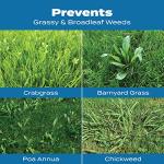 Scotts Turf Builder Crabgrass Preventer & Lawn Food