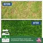 Turf Titan Fast-Acting Lawn Fertilizer with Sprayer