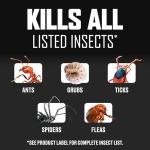 Ortho BugClear Lawn Insect Killer, 10lbs