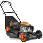 21-Inch Self-Propelled Gas Lawn Mower, 170cc