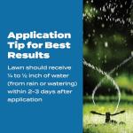 Garden Hose Reel with 100 Feet of Hose