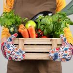 DOFOWORK Women’s Soft Garden Gloves - 3 Pairs