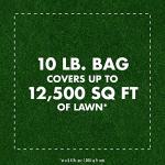 Triazicide Insect Killer Granules for Lawns, 10 lb