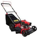 PowerSmart 21-Inch Self-Propelled Gas Lawn Mower